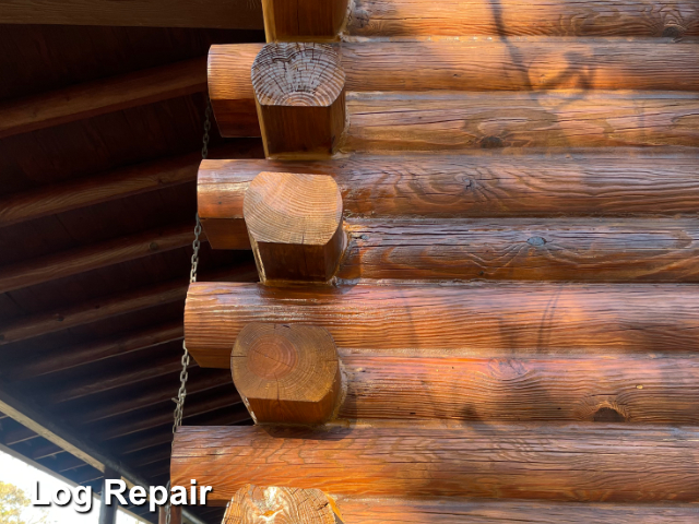 Log home restoration in North Myrtle Beach, SC
